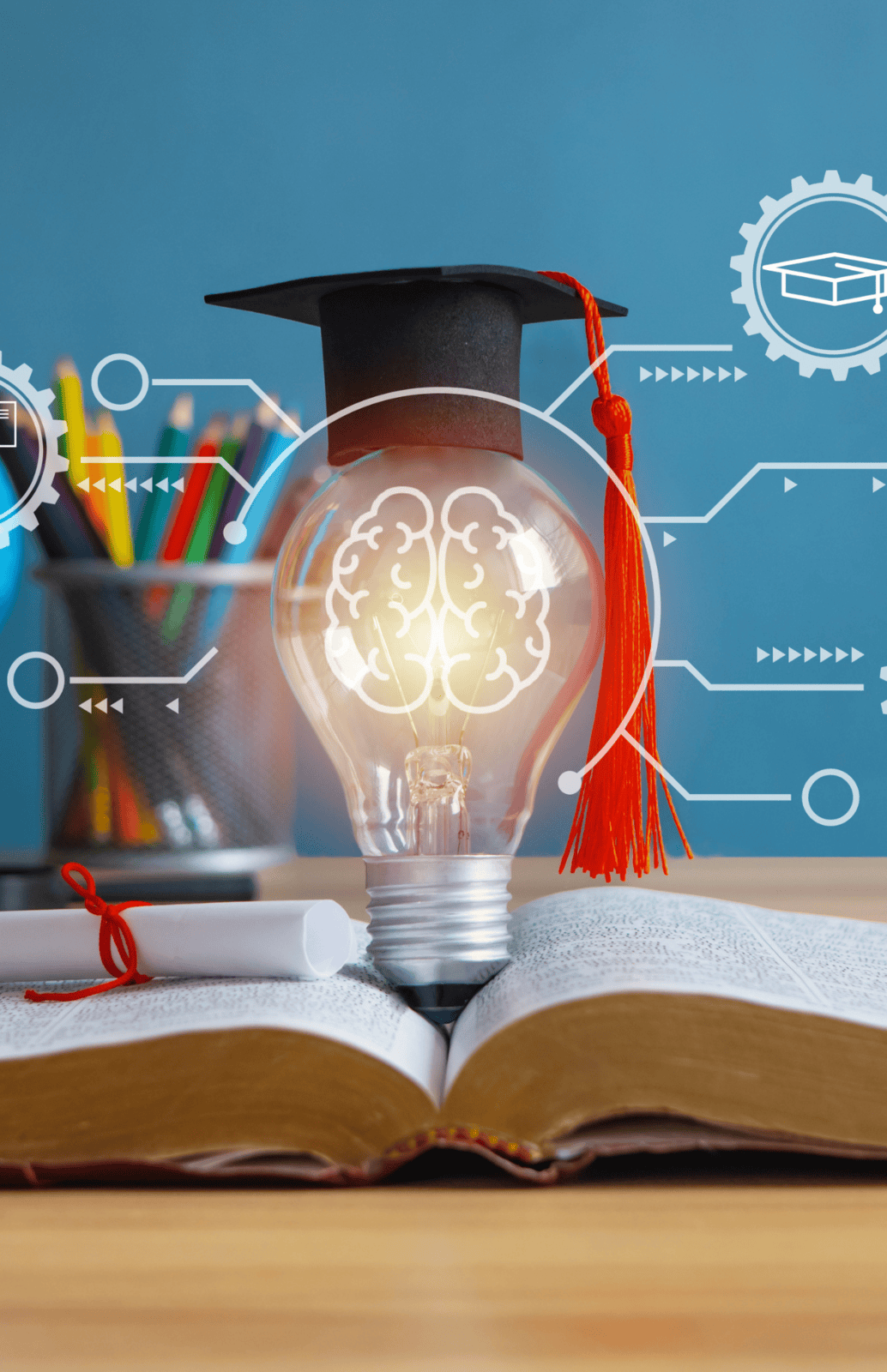 The Education System Including Professional Development